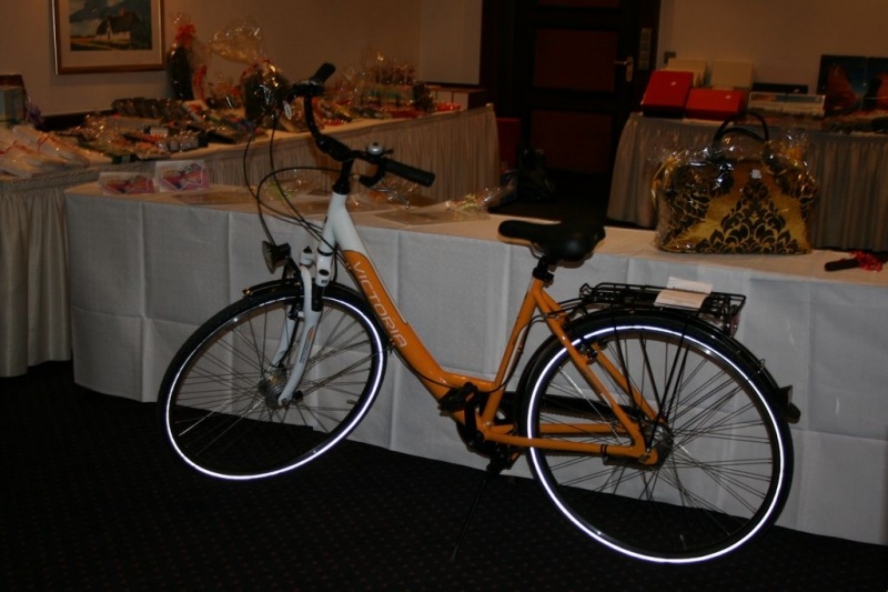 CDU Benefiz-Ball 2013