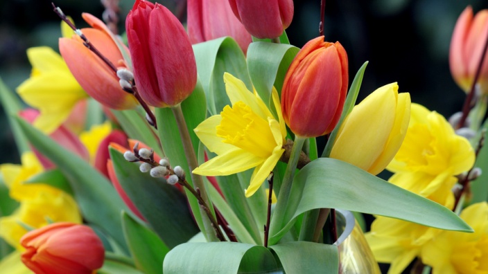 Ein Strauß roter und gelber Blumen vor grünem Hintergrund, Foto von Christiane Lang