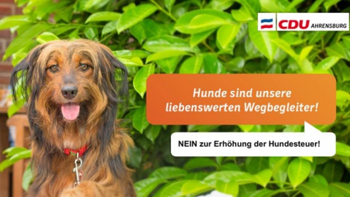 Hundesteuer